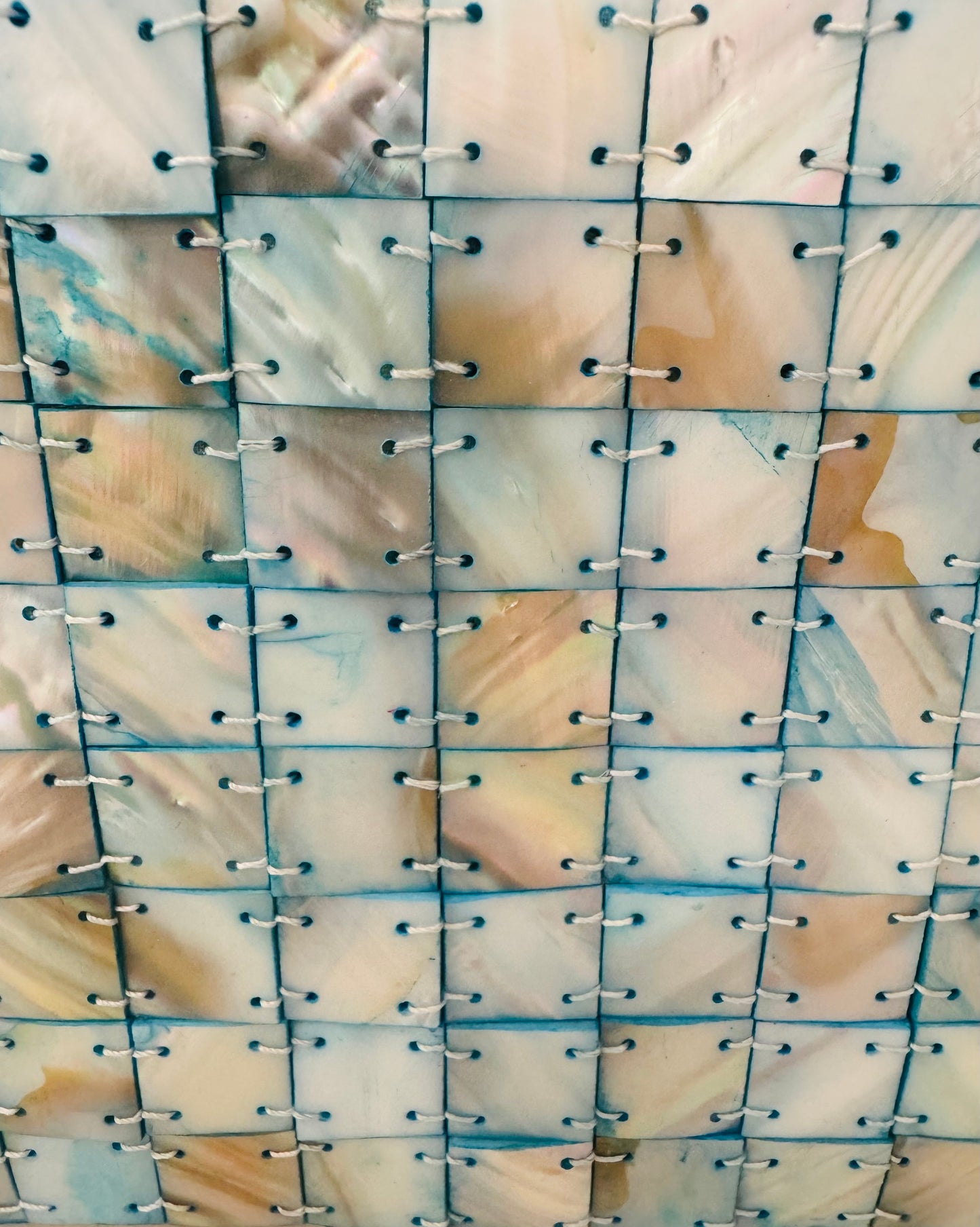 Vintage Mother of Pearl Small Handbag
