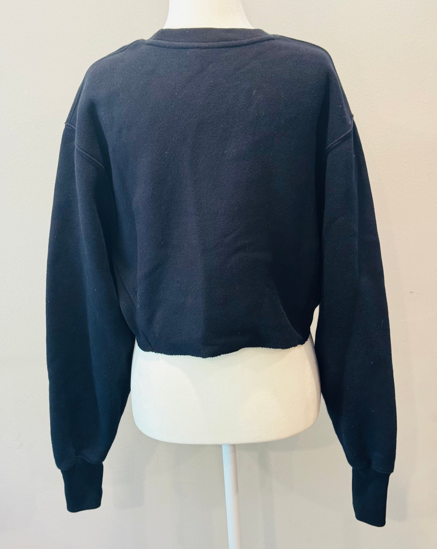 Vintage Champion Cropped Sweatshirt